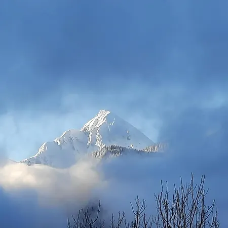 Appartement Altenhof *