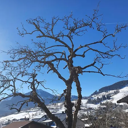 아파트 Altenhof *