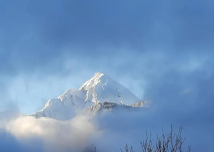 Apartmán Altenhof *